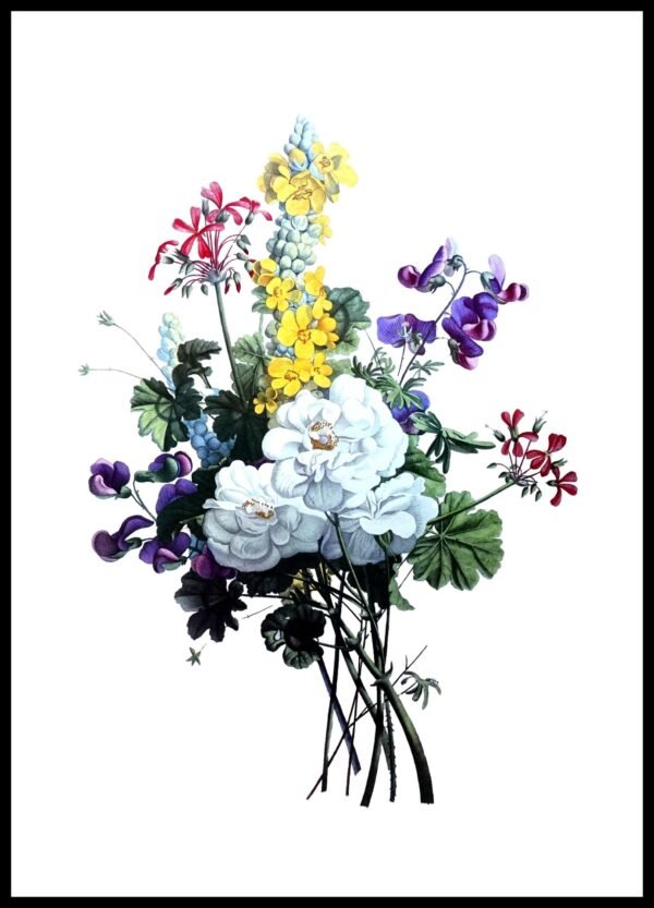 ALP F13035 Prevost Bougnets (Antique Prints)